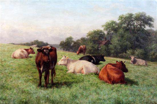 Dixon Clark (1849-1944) Cattle in a field 24 x 36in.
